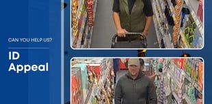 Surrey Police search for Farnham theft suspects