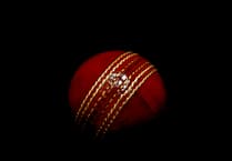 Pirbright slip to narrow I'Anson Cricket League Division Three defeat at Fernhurst
