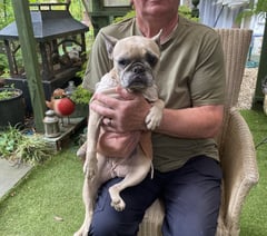Family launches appeal to save dog Luna from lung cancer