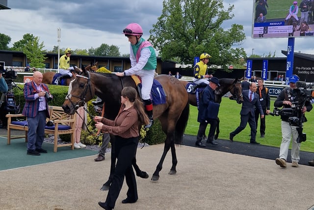 Olive Nicholls retires from riding to become assistant trainer