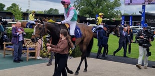 Olive Nicholls retires from riding to become assistant trainer