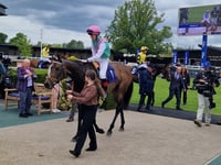 Olive Nicholls retires from riding to become assistant trainer