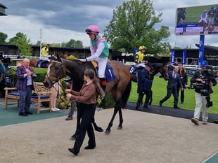 Olive Nicholls retires from riding to become assistant trainer