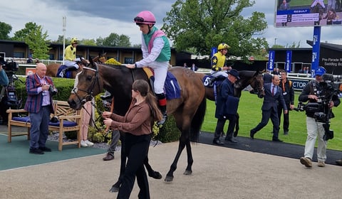 Olive Nicholls retires from riding to become assistant trainer