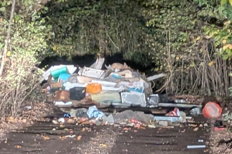 Horsell Common Preservation Society