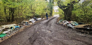 Plea to residents as fly-tippers hit Horsell Common