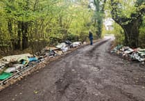 Preservation Society makes contractor plea as fly-tippers hit Horsell Common