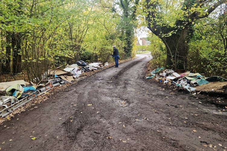 Horsell Common fly-tipping PIC1