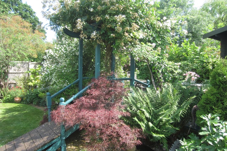 Horsell Garden Safari Japan Bridge