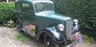 Happy trails: Gates will be opened for Horsell Garden Safari