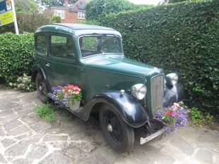 Happy trails: Gates will be opened for Horsell Garden Safari