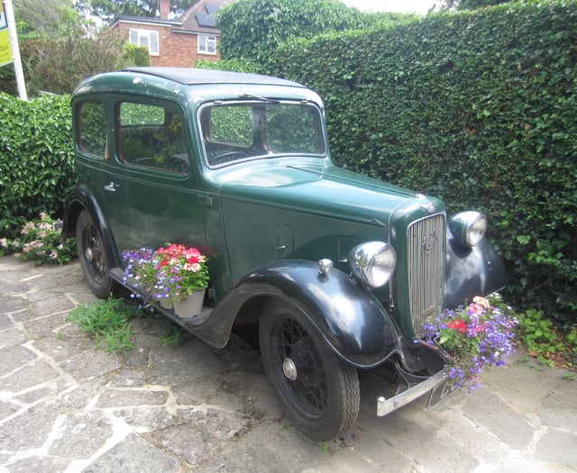 Happy trails: Gates will be opened for Horsell Garden Safari