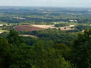 Join our Surrey and Hampshire team