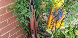 Armed Police drama in Byfleet as "firearms" left at parish office