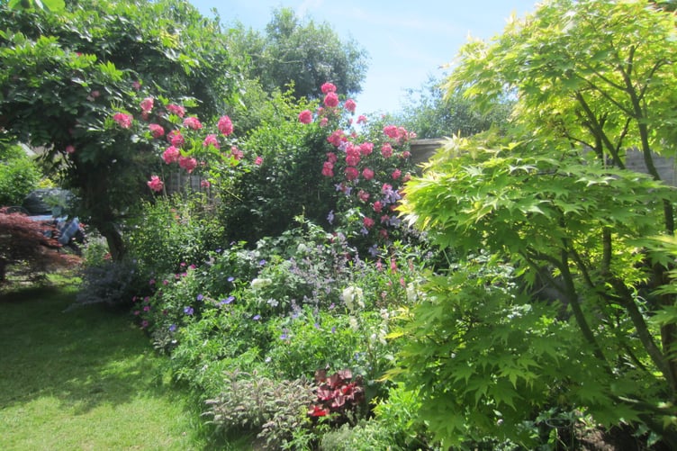 Horsell Garden Safari