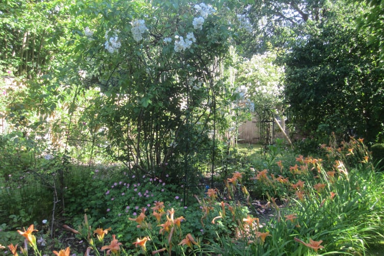 Horsell Garden Safari