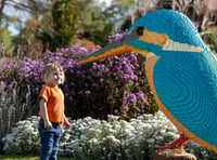 Vibrant sculptures bring Wisley nature trail to life