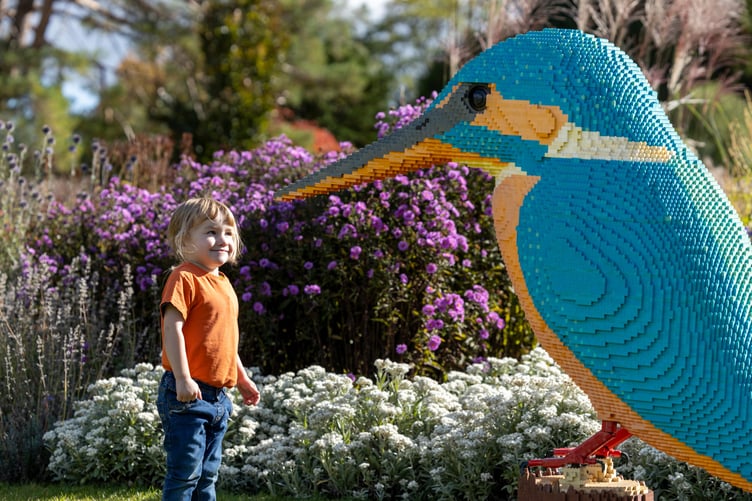 Nature trail Wisley Credit - RHS Josh Kemp-Smith