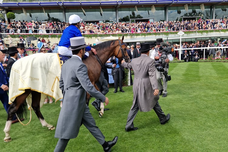 Ombudsman at Royal Ascot, June 17th 2026.