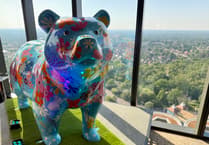 Bear with us! Hospice reveals trail plans