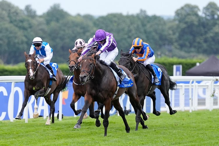 Horse race.