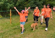 Walkers celebrate memory of those they loved