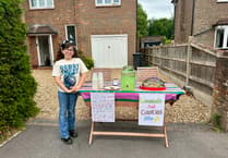 Youngster June has Lemon-aid for Woking & Sam Beare Hospice