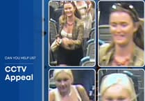 Women who caught train to Liss could "hold information" into Haslemere rape