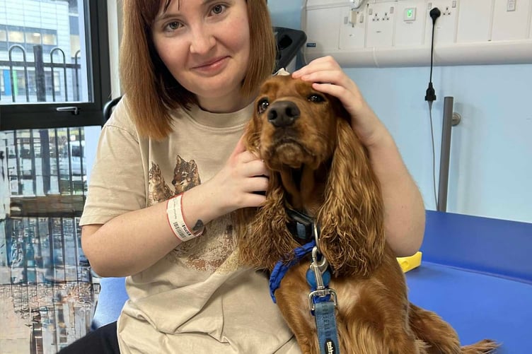 Michelle Monaghan enjoys a cuddle with Enzo, a therapy dog who regularly came for visits.