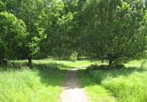 Celebrate wildlife habitats at Fox Corner