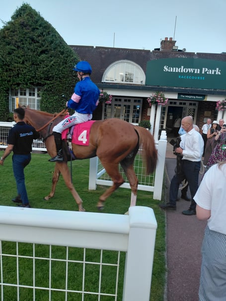 Boilermaker at Sandown (Photo: Peter Moore)