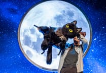 Imagined adventures of Dermot O'Leary's cat on Guildford stage