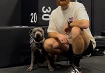 New Knaphill gym caters for all ages and abilities