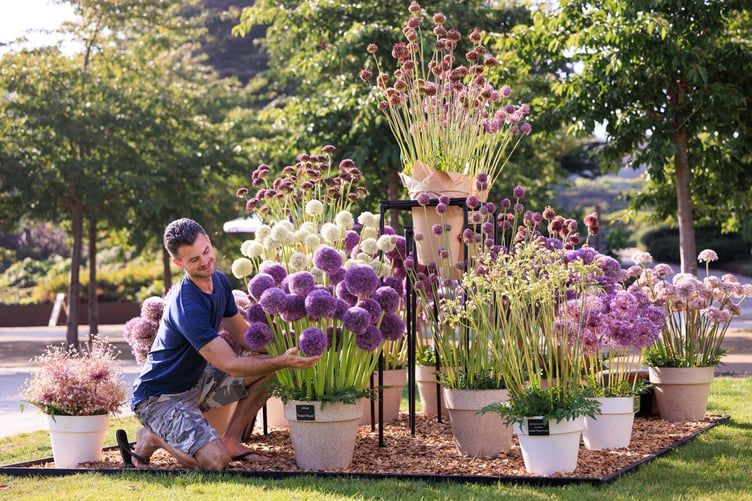 Wisley Flower Show