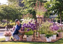 Flower show returns in blaze of vibrant colour