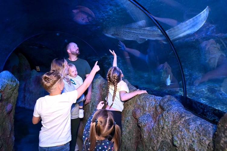 SeaLife Manchester