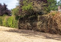 Neighbour's swift action saves house from wildfire