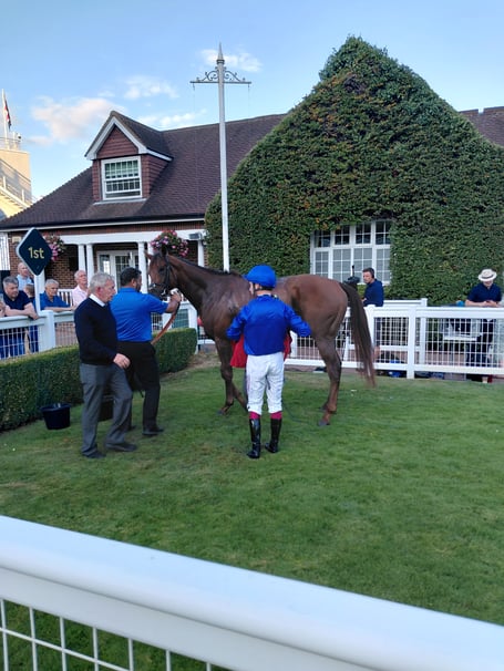 Desert Shadow at Sandown (Photo: Peter Moore)