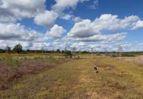 Surrey Heath working hard to reduce wildfire risks