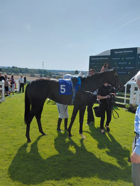 Tansy Lane at Epsom (Photo: Peter Moore)