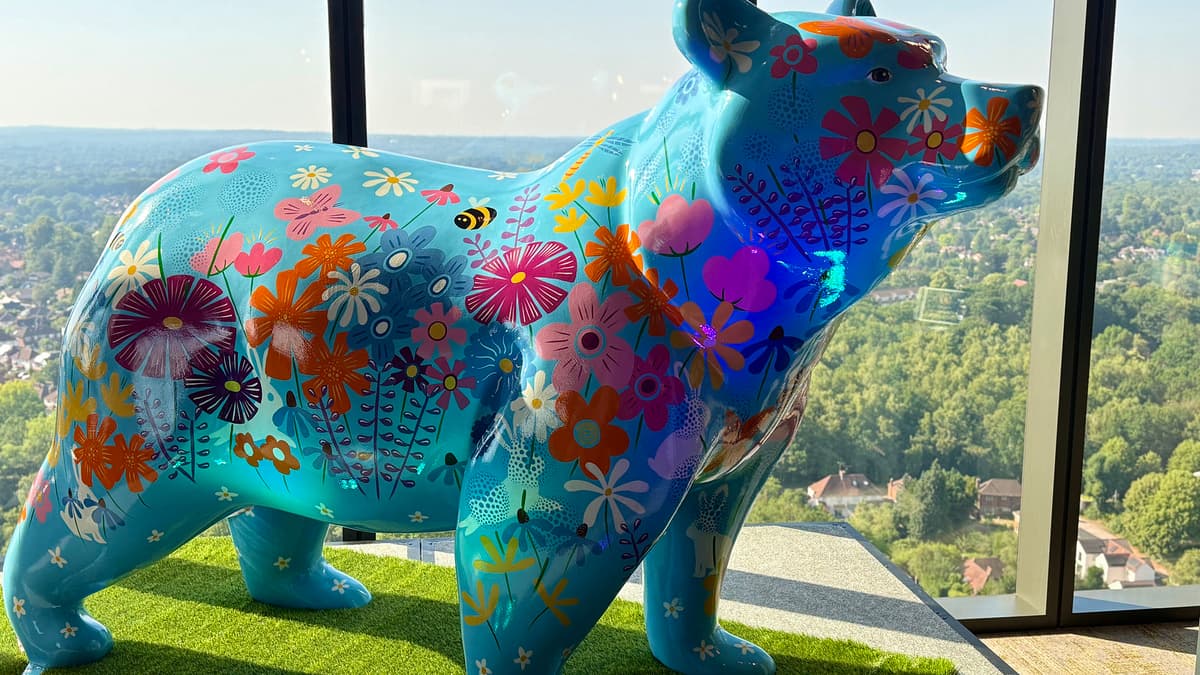 Call for artists to join charity's bear project