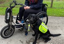 Dog star: Award celebrates the life of Rowley