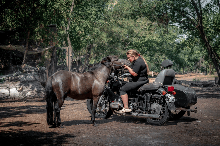 A woman tends to a horse in Zaporizhzhia.