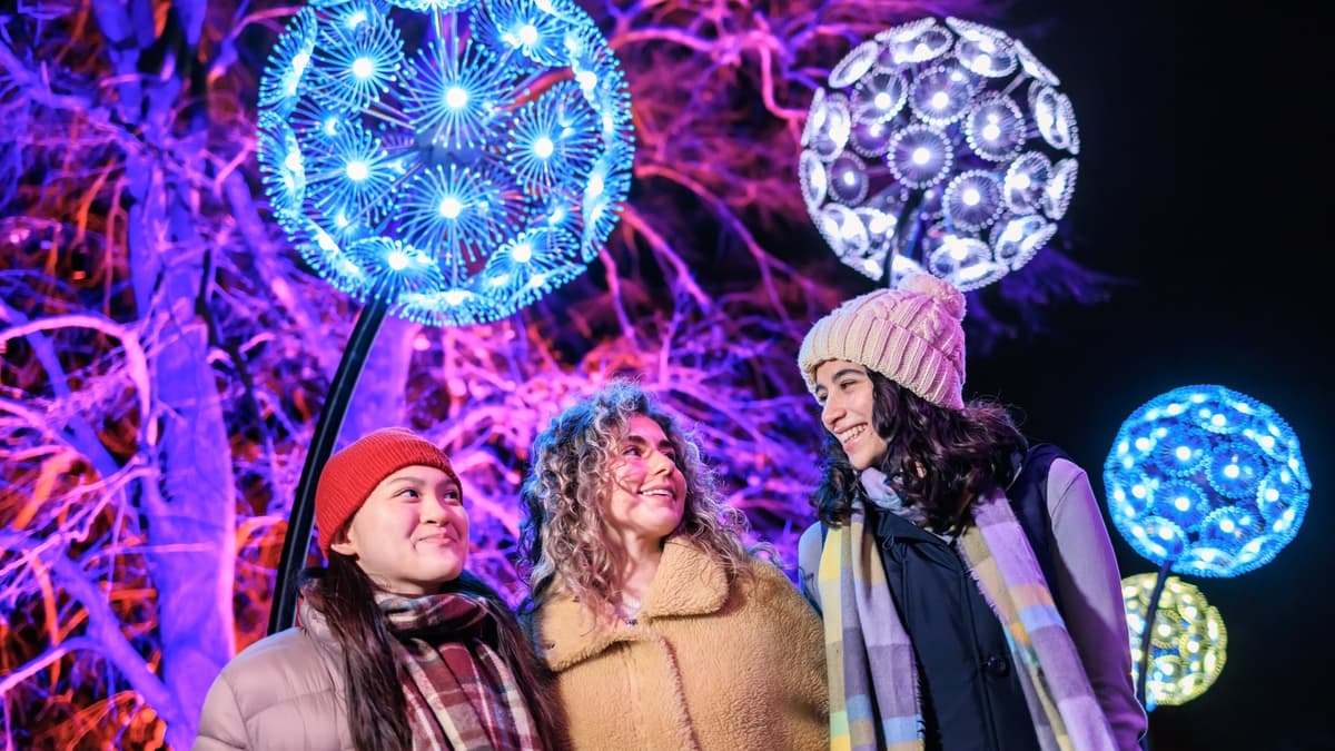 Light Showe Ready, set, Glow! Light show returns to Wisley | wokingnewsandmail.co.uk
