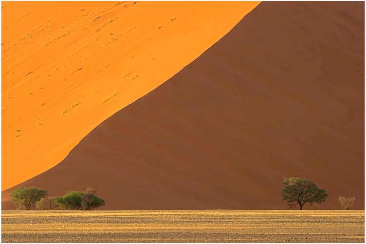 In The Shade Of The Morning Sun by Rob Bonfield