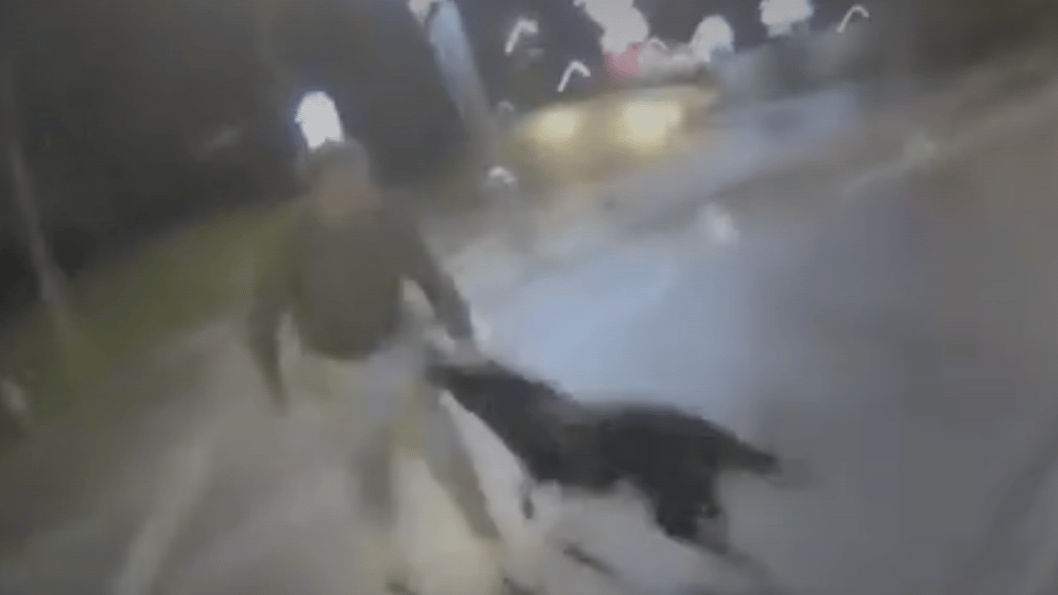Bodycam shows brave police dog face knife attack