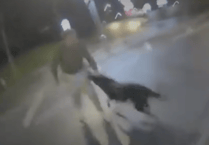 Dramatic footage shows police dog tackling knife-wielding criminal