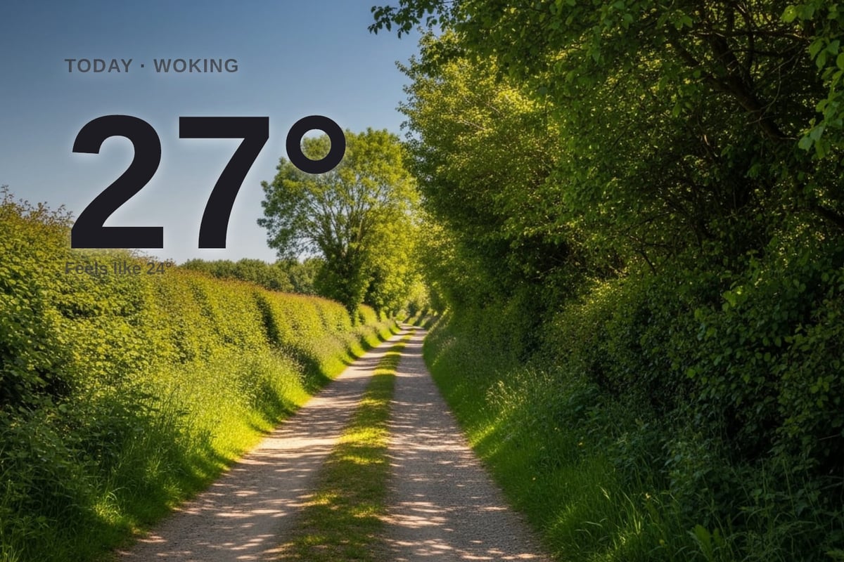 Woking weather: sunny Friday with little chance of rain and a high of 27°C