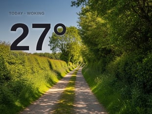 Woking: sunny day, high of 27°C