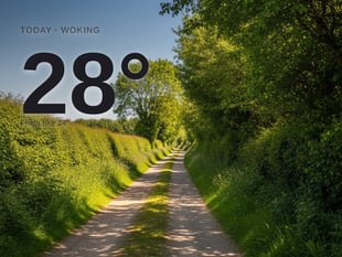 Woking: sunny day, high of 28°C